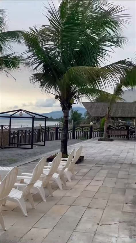 palms and bamboo bataan prices